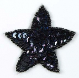 4031 Sequin Applique Star
