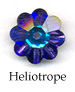 Heliotrope: