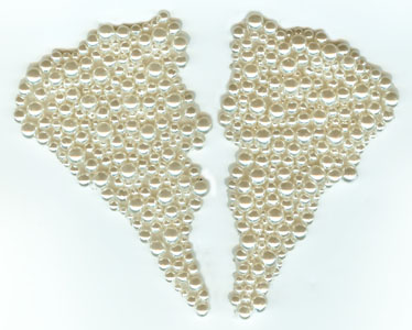 2202 Pearl Beaded Applique Pair